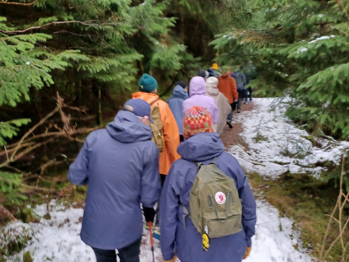 Personer på tur på sti